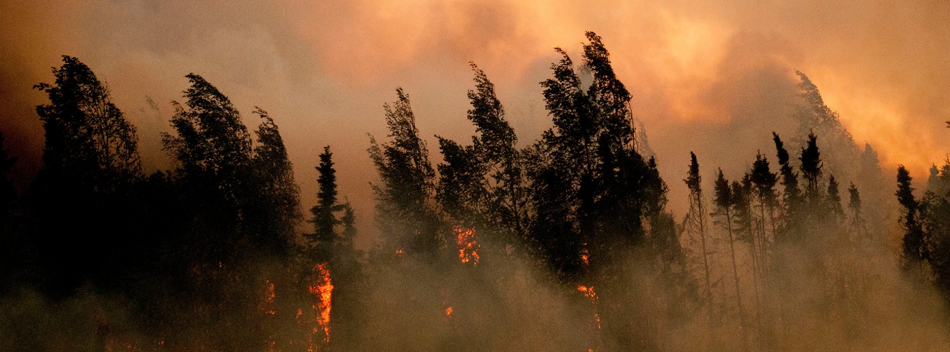 Sockeye Fire charges