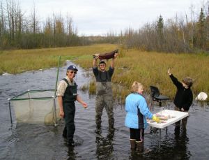 salmoncelebsmall.jpg salmoncelebsmall.jpg