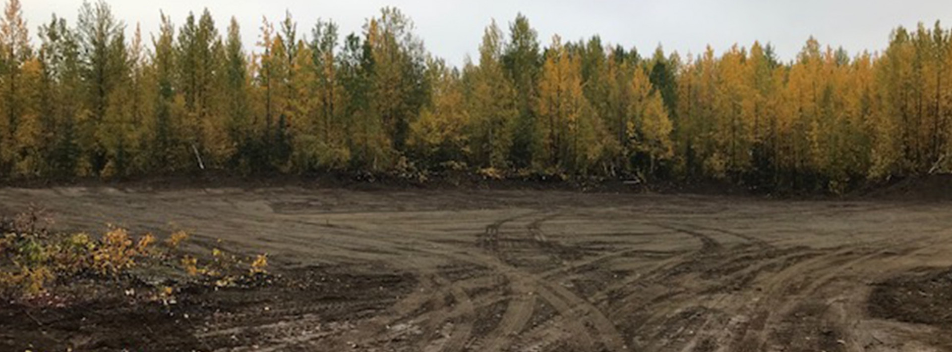 MatanuskaSusitna Borough MSB Opens Brush Disposal Area in Willow